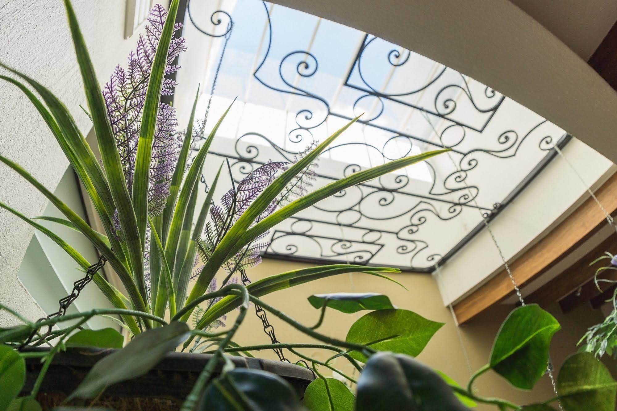 San Pietro Boutique Hotel Tlaquepaque Eksteriør bilde